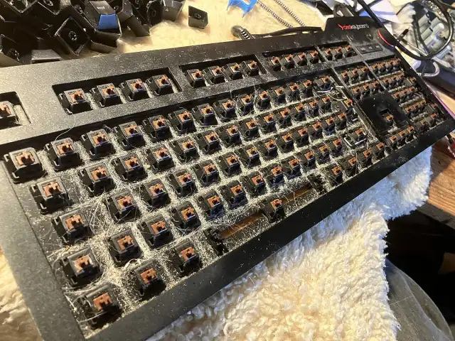 Das keyboard ohne Keycaps, Katzenhaare