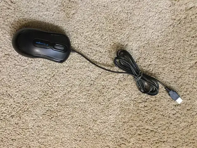 Computer mouse 1 2015 02 28