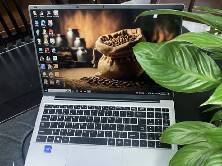 A laptop desktop with application shortcuts beside green plants
